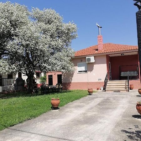Αξέχαστη Διαμονή - Unforgettable Accommodation Nea Kallikrateia Dış mekan fotoğraf