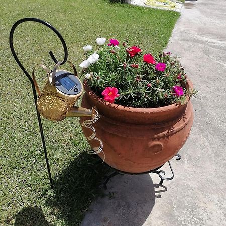 Αξέχαστη Διαμονή - Unforgettable Accommodation Nea Kallikrateia Dış mekan fotoğraf