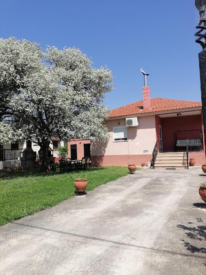 Αξέχαστη Διαμονή - Unforgettable Accommodation Nea Kallikrateia Dış mekan fotoğraf