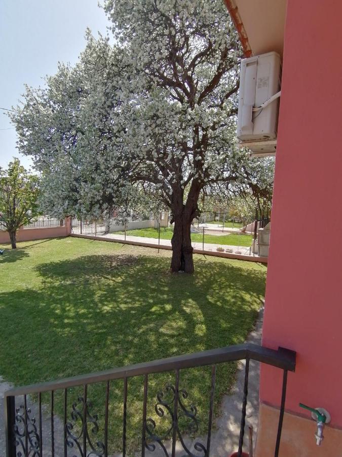 Αξέχαστη Διαμονή - Unforgettable Accommodation Nea Kallikrateia Dış mekan fotoğraf