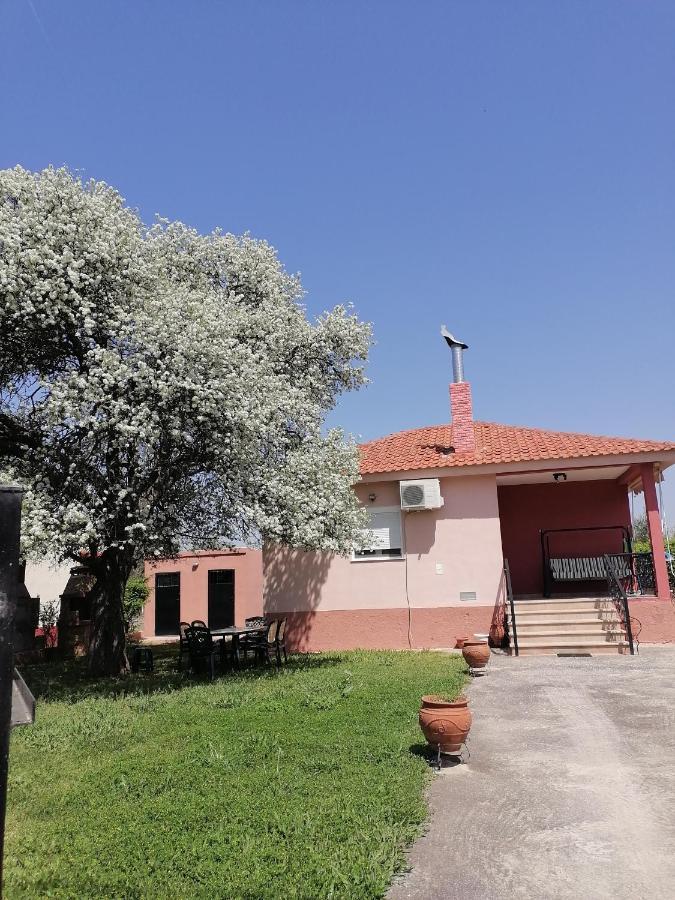 Αξέχαστη Διαμονή - Unforgettable Accommodation Nea Kallikrateia Dış mekan fotoğraf